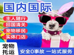 徐州机场托运国际宠物托运 【国